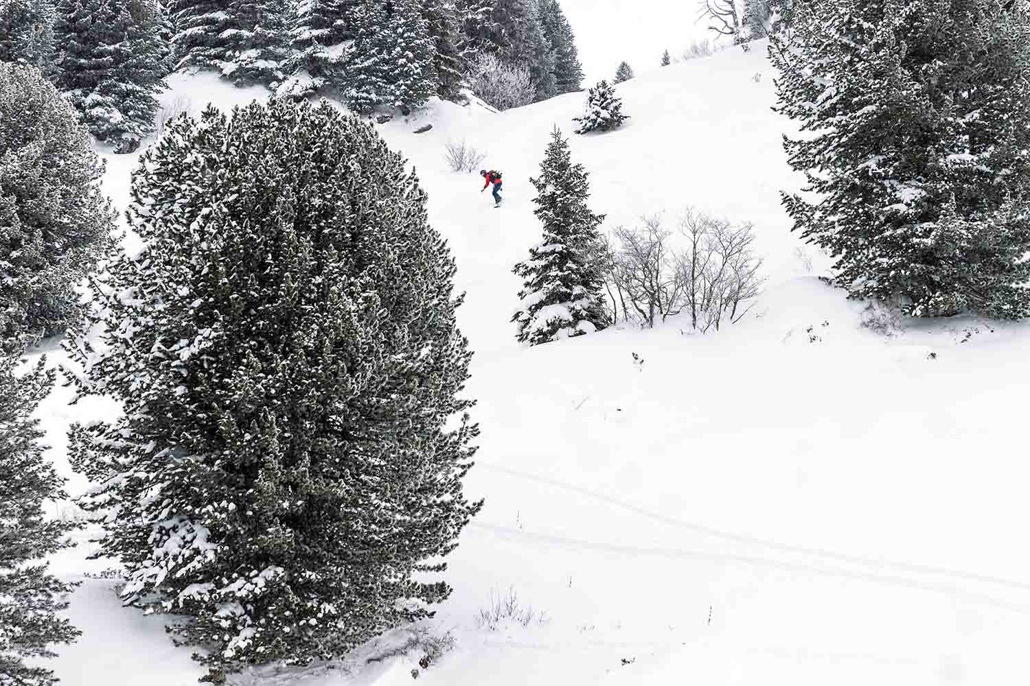 guide splitboard à flaine, grand-massif