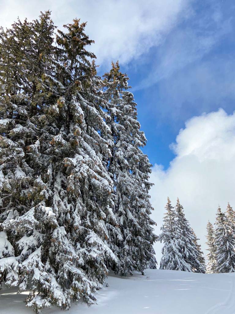 sortie journée en famille en ski de randonnée